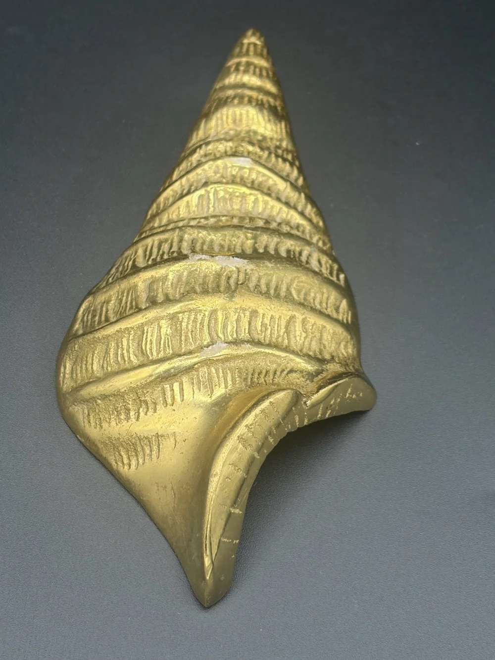 Brass Sea Shell~Wall Hanging Vintage Nautical, Mid-Century Modern, Beach Decor
